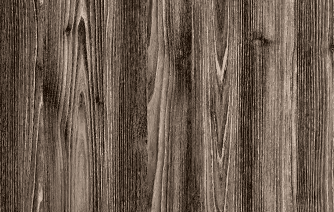 Asel AGT L128 Faralya