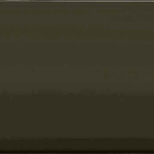 Asel AGT Panel 623 HG Vizon